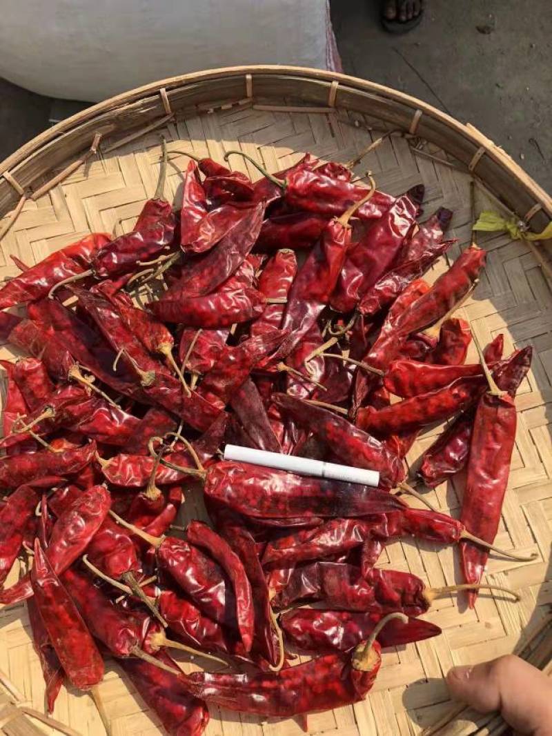 缅甸干辣椒，长年供应缅甸干辣椒，中缅口岸清关完后交货。