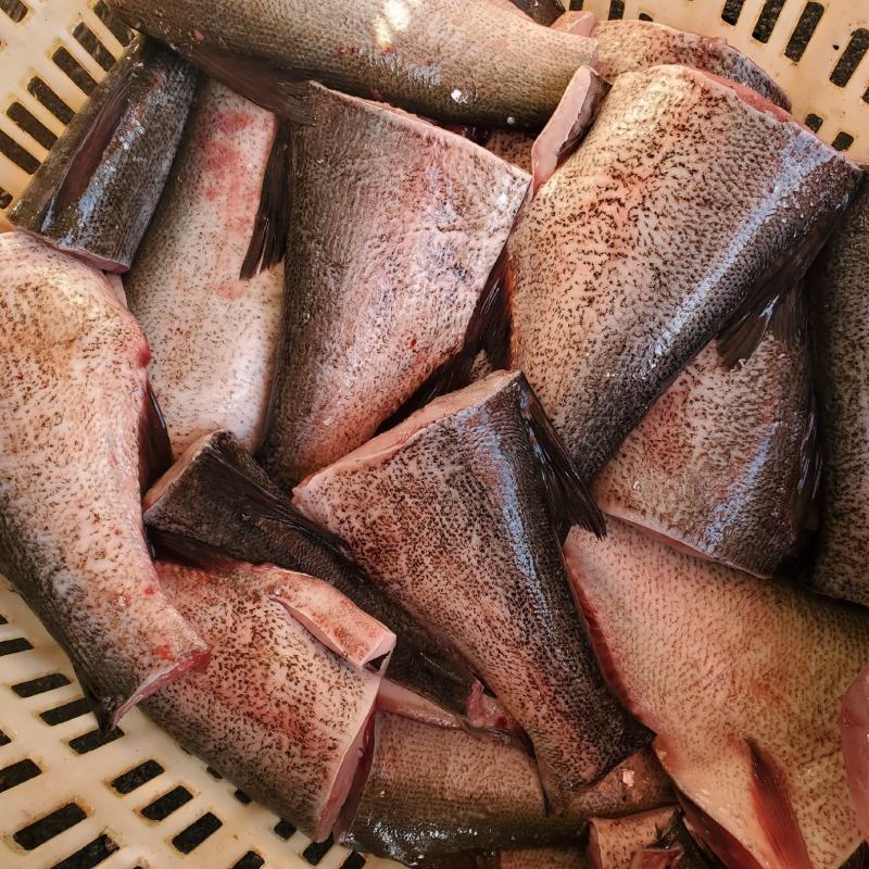 李芹活鱼无冰鲢鱼肉鲢鱼尾6斤一件剁椒鱼包邮冷链物流