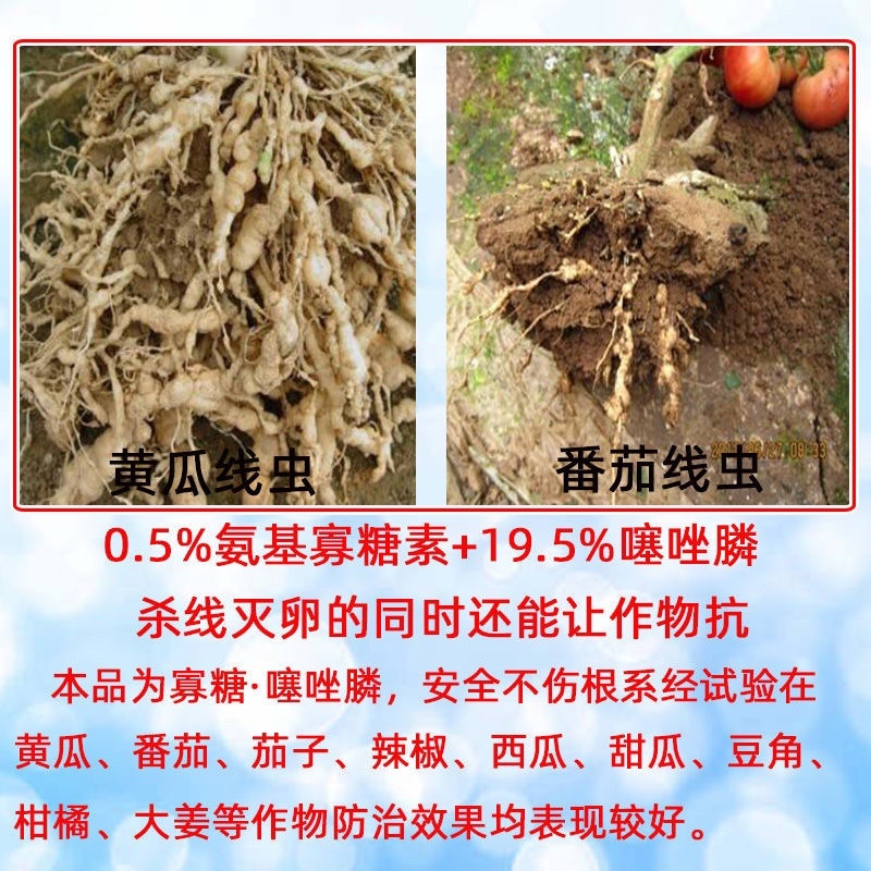 正业无线大地根结线虫专用20%氨基酸寡糖素噻唑膦杀线虫