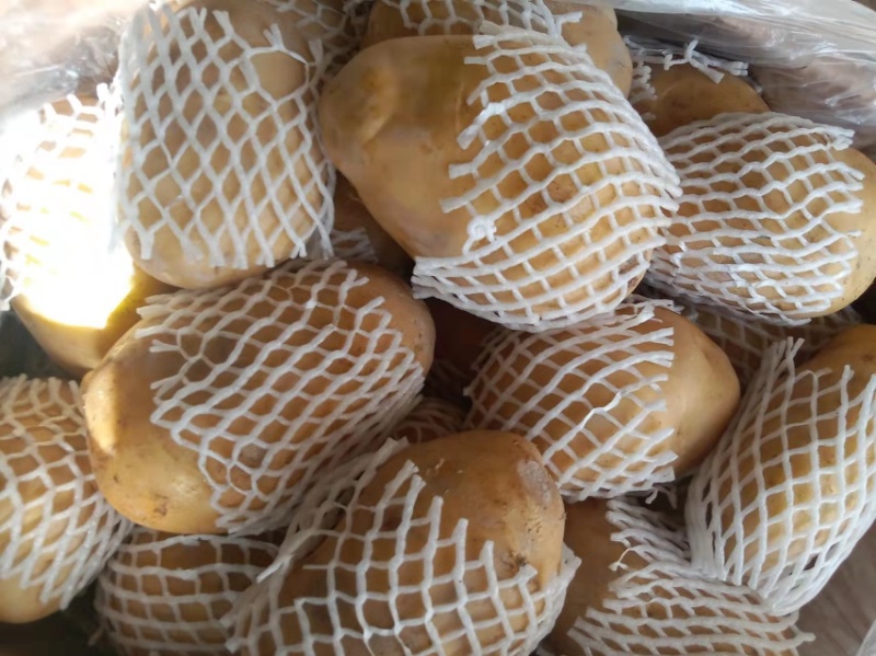 新疆喀什土豆🥔库房发货各种层次各种级别都有