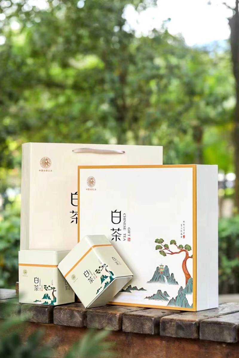 白茶绿茶新茶奶香新茶送礼礼盒