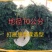 衰衣龙树