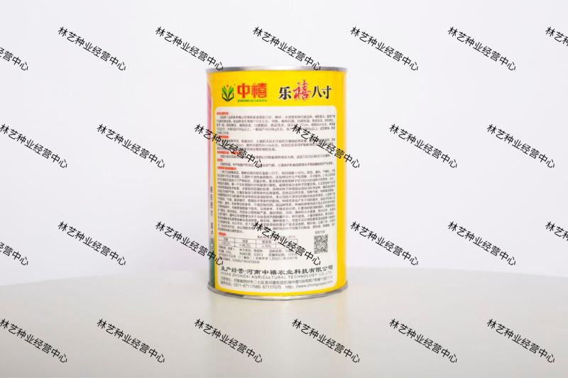 高产八寸红胡萝卜种子当年新种四季菜园盆栽大田种植蔬菜籽