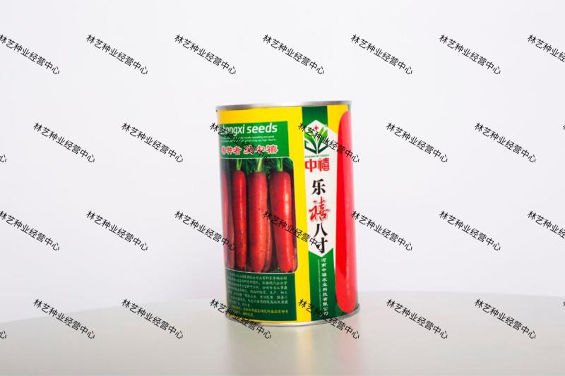 高产八寸红胡萝卜种子当年新种四季菜园盆栽大田种植蔬菜籽