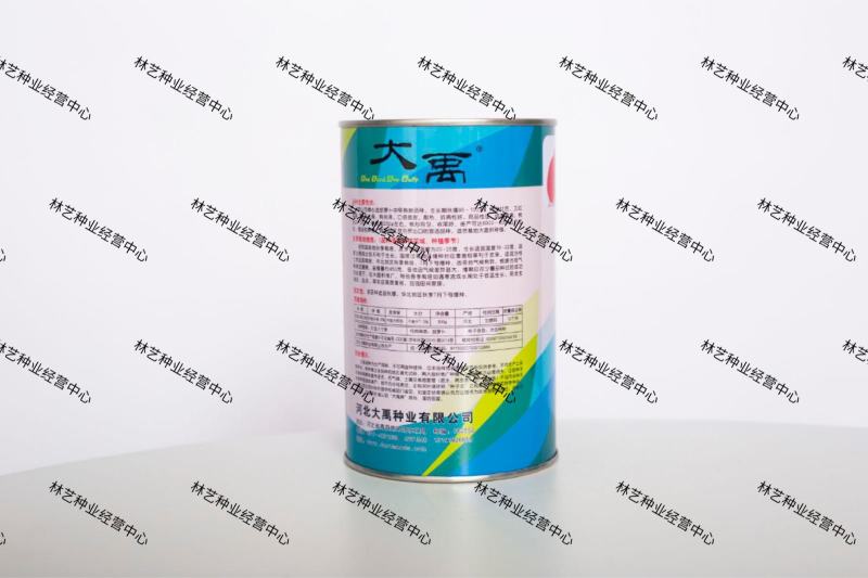 大禹牌红参八寸红胡萝卜种子特色甜脆胡萝卜种籽耐热夏秋播