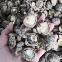 香菇干货特产农家肉厚无根干香菇新货蘑菇菌菇陕西香菇