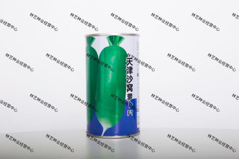 天津沙窝萝卜种子生吃脆甜冰糖脆萝卜种子庭院田园四季蔬菜种
