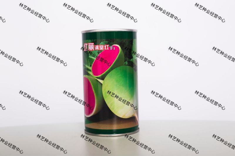 红丽满堂萝卜种子满堂红萝卜种子绿皮红心萝卜种子四季播蔬菜