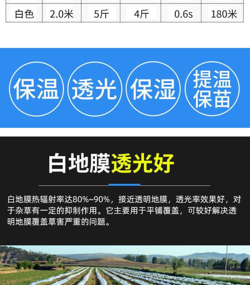 农用塑料薄膜白地膜育苗保温保湿蔬菜透明膜保护建筑公路大棚