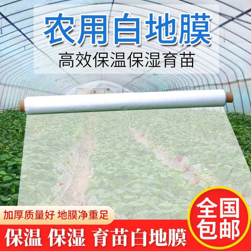 农用塑料薄膜白地膜育苗保温保湿蔬菜透明膜保护建筑公路大棚