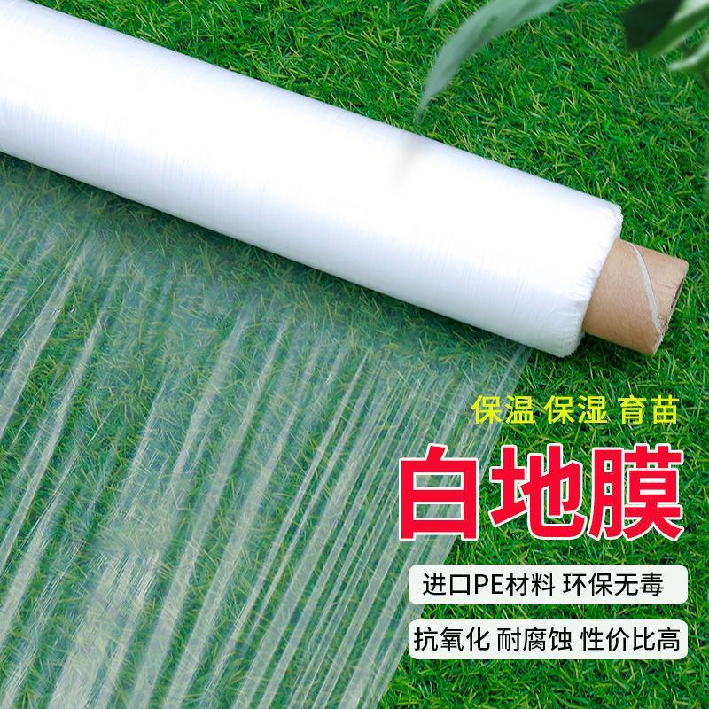 农用塑料薄膜白地膜育苗保温保湿蔬菜透明膜保护建筑公路大棚