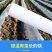 农用塑料薄膜白地膜育苗保温保湿蔬菜透明膜保护建筑公路大棚