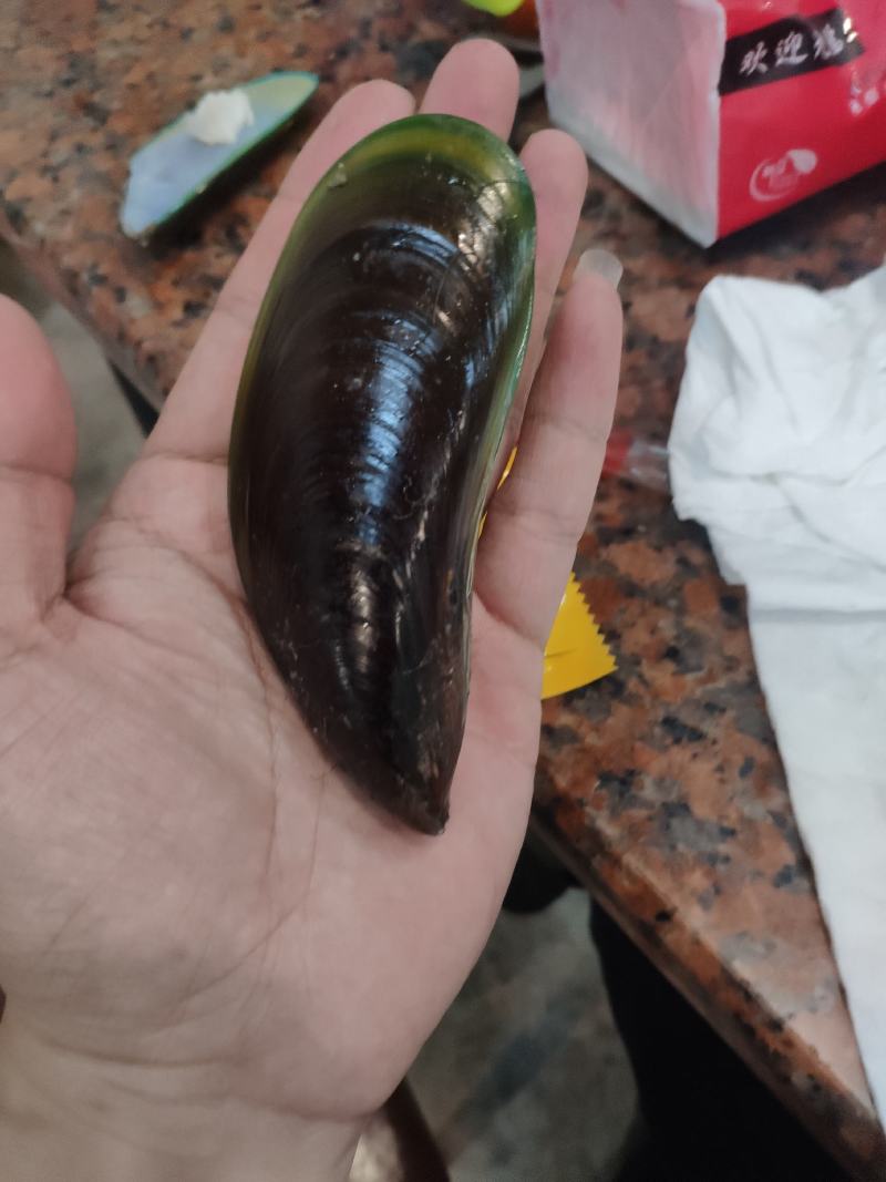 油甲螺，也叫花甲螺，花甲王。很多名字，鲜嫩可口。口感好。