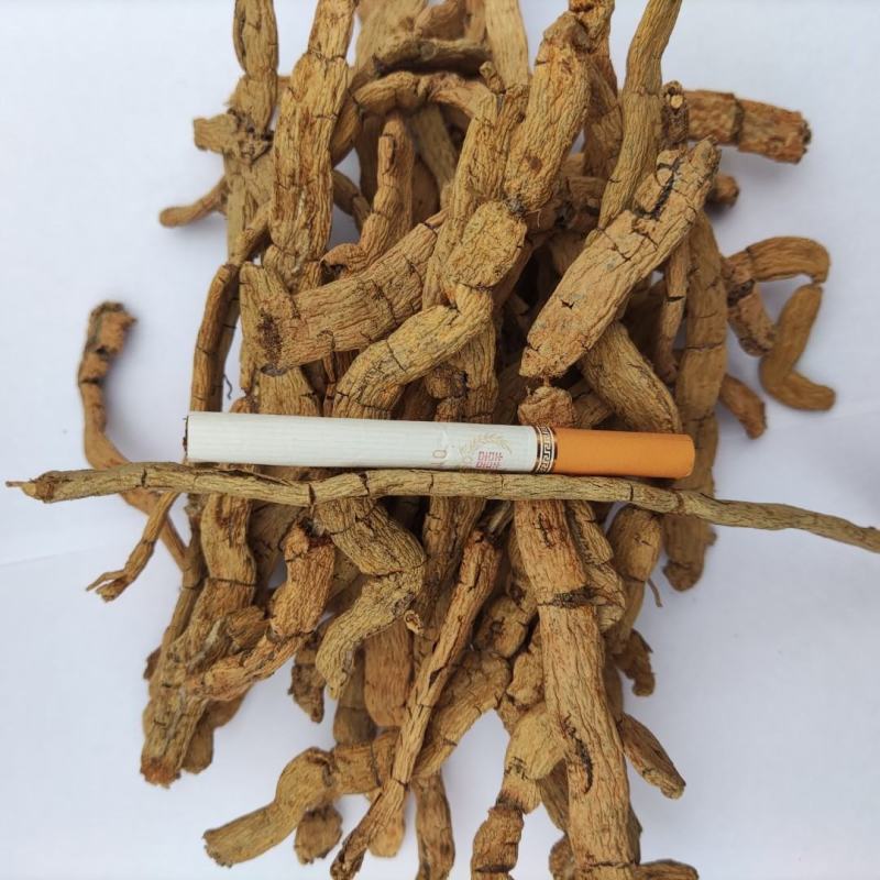 带芯干货扁巴戟天三级压扁巴戟天全程太阳晒干