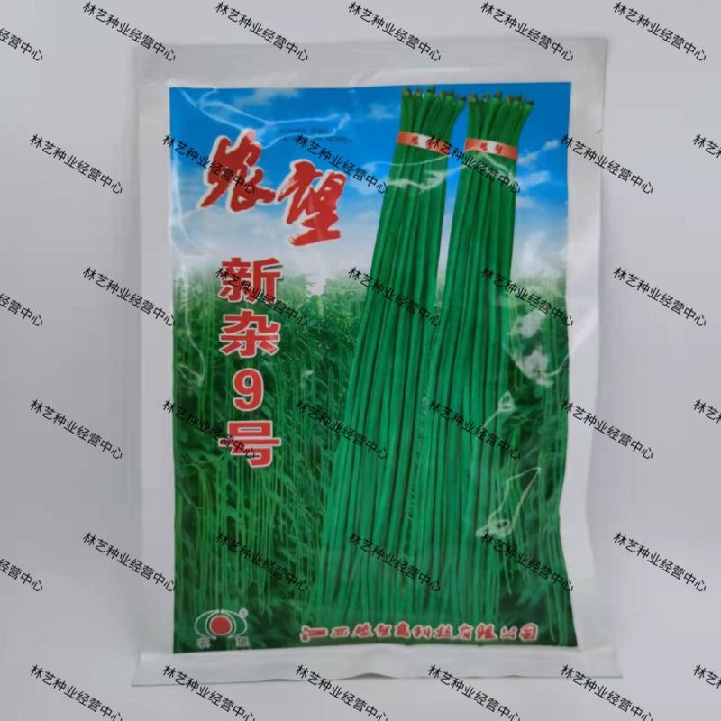 农望新杂9号豇豆种子高产长豆角种籽青条豇豆籽春秋大棚蔬