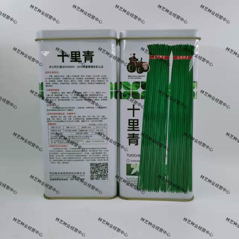 十里青豇豆种子四季播高产豇豆种绿条特长豆角春播架豆