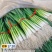 红根蒜苗50~60cm，精品水洗，按老板要求现场加工质
