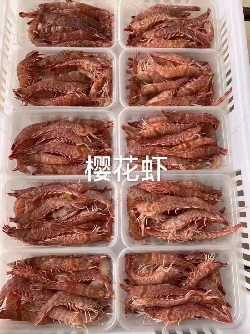 台海樱花虾，活冻品质，15-17条左右，小件试样6盒起