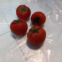 西红柿保鲜袋减少损失，锁住营养，食品级材料生产安全有