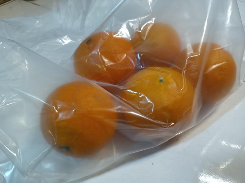 橙子保鲜袋，减少水分损失锁住营养，食品级原材料生产，安全