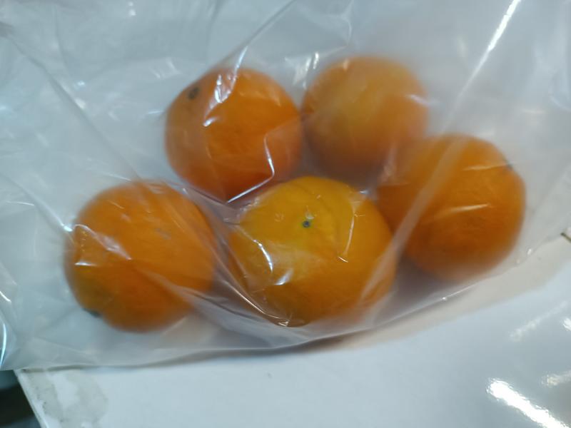 橙子保鲜袋，减少水分损失锁住营养，食品级原材料生产，安全