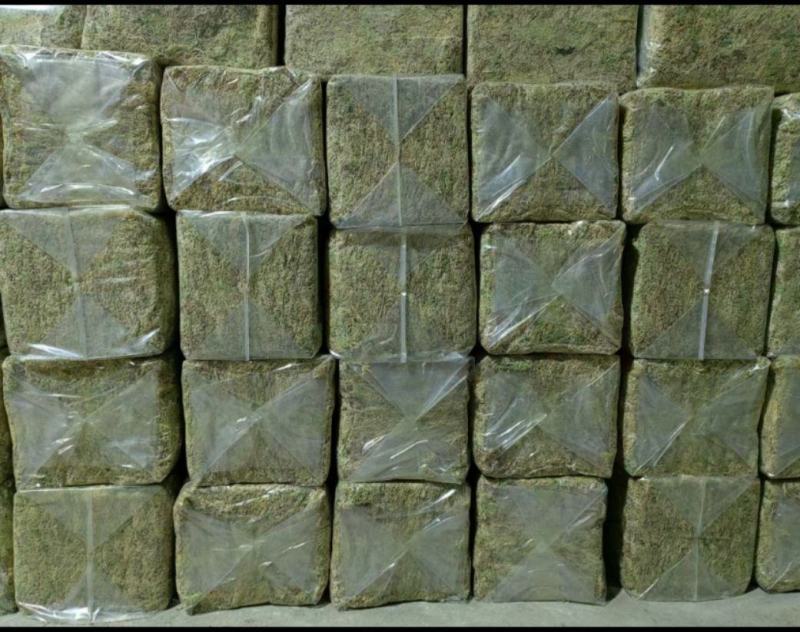 特级水苔优质水苔零售批发农户直销18375117891