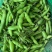 四川大白胡豆蚕豆粒粒饱满蚕豆大小车通接