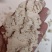 【精选好货】油渣，牛羊育肥好料，质优价廉，现货供应！