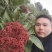 吴茱萸（品种：中花）贵州高原特产无污染吴茱萸米辣子