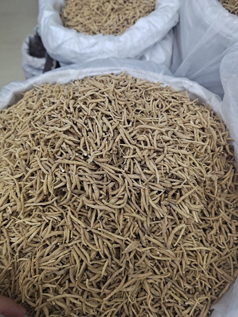 太子参孩儿参无硫统货选货大大条太子参量大从优欢迎
