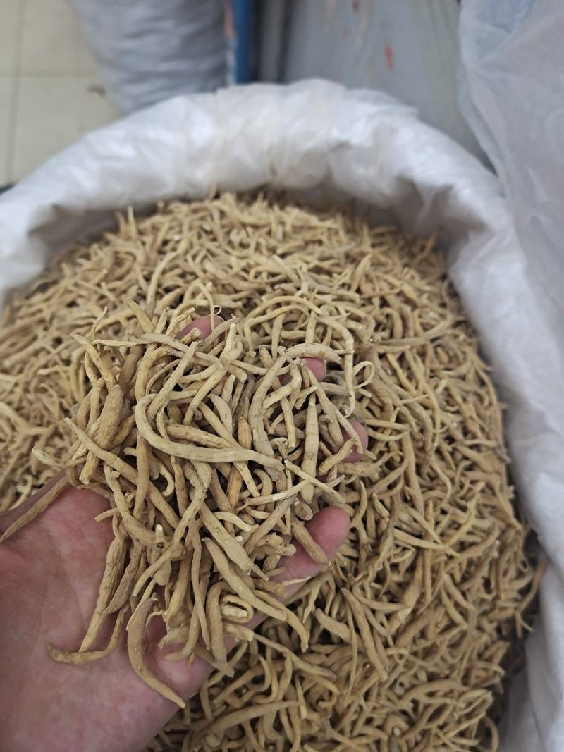 太子参孩儿参无硫统货选货大大条太子参量大从优欢迎