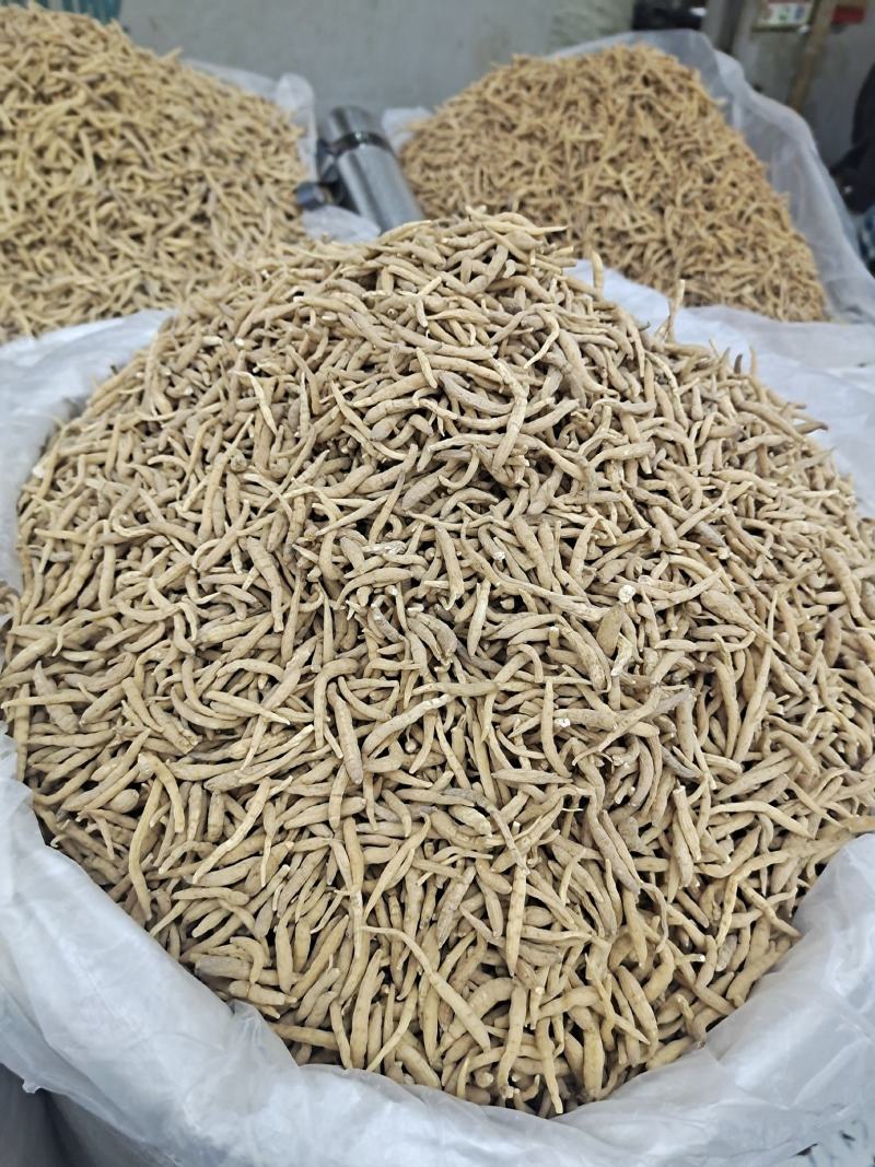 太子参孩儿参无硫统货选货大大条太子参量大从优欢迎