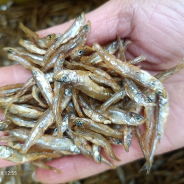 油炸小公鱼小溪鱼淡水无盐不苦无沙无杂志量大从优