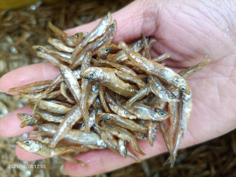 油炸小公鱼小溪鱼淡水无盐不苦无沙无杂志量大从优