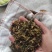 梅干菜/梅菜/梅菜扣肉/梅菜饼/淡盐/蒸煮过。