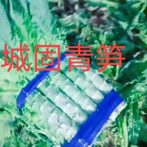 陕西汉中城固莴笋：自产自销2斤以上，图片视频(现货