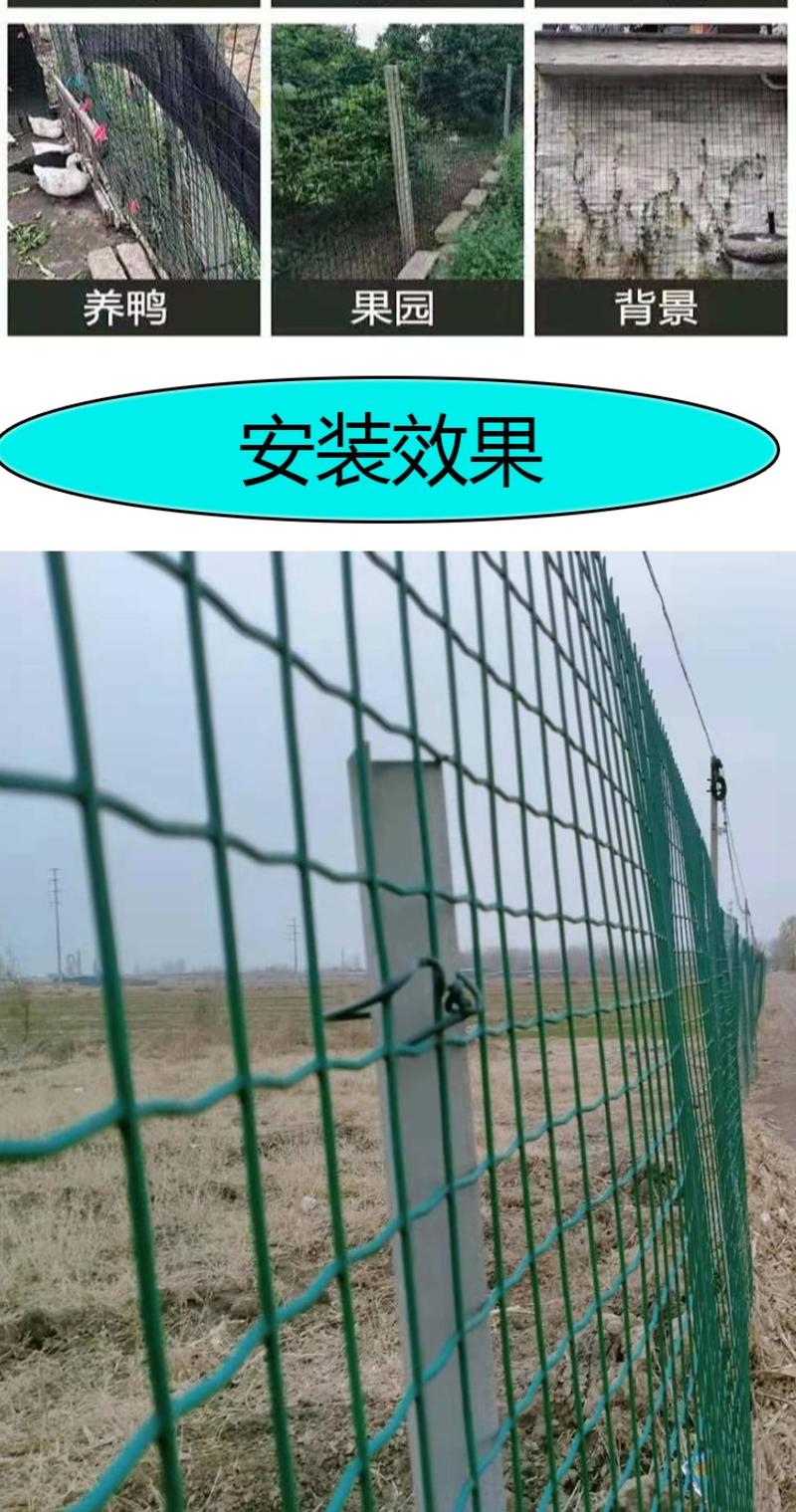 硬塑荷兰网围栏隔离防护网养鸡鸭鹅果园圈地围栏网