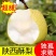 蒲城精品酥梨贡梨新鲜好吃基地直发一手货源量大从优