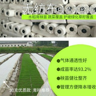 农用育苗无纺布料整卷丙纶农用苗圃草坪水稻育秧透水透气
