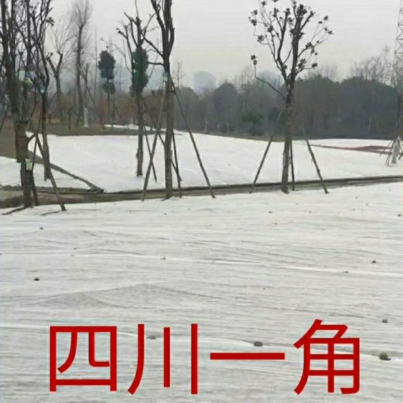 农用育苗无纺布料整卷丙纶农用苗圃草坪水稻育秧透水透气