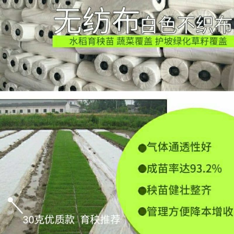 农用育苗无纺布料整卷丙纶农用苗圃草坪水稻育秧透水透气