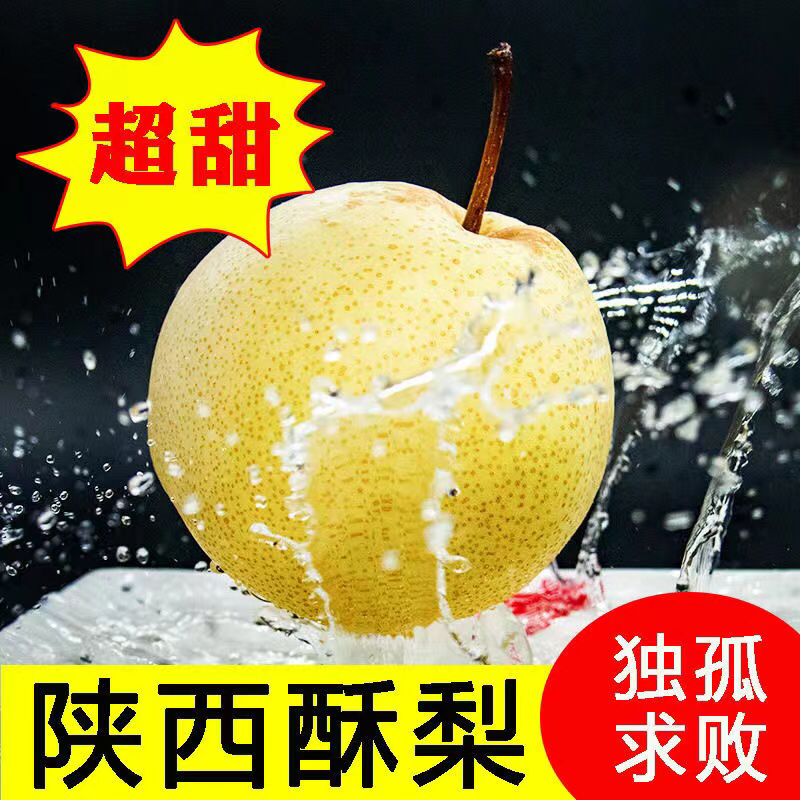 精品蒲城酥梨脆甜可口现摘现发出口品质