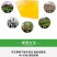 粘虫板黄板双面粘虫板大棚专用蓟马家用黄蓝一体色诱虫板果园