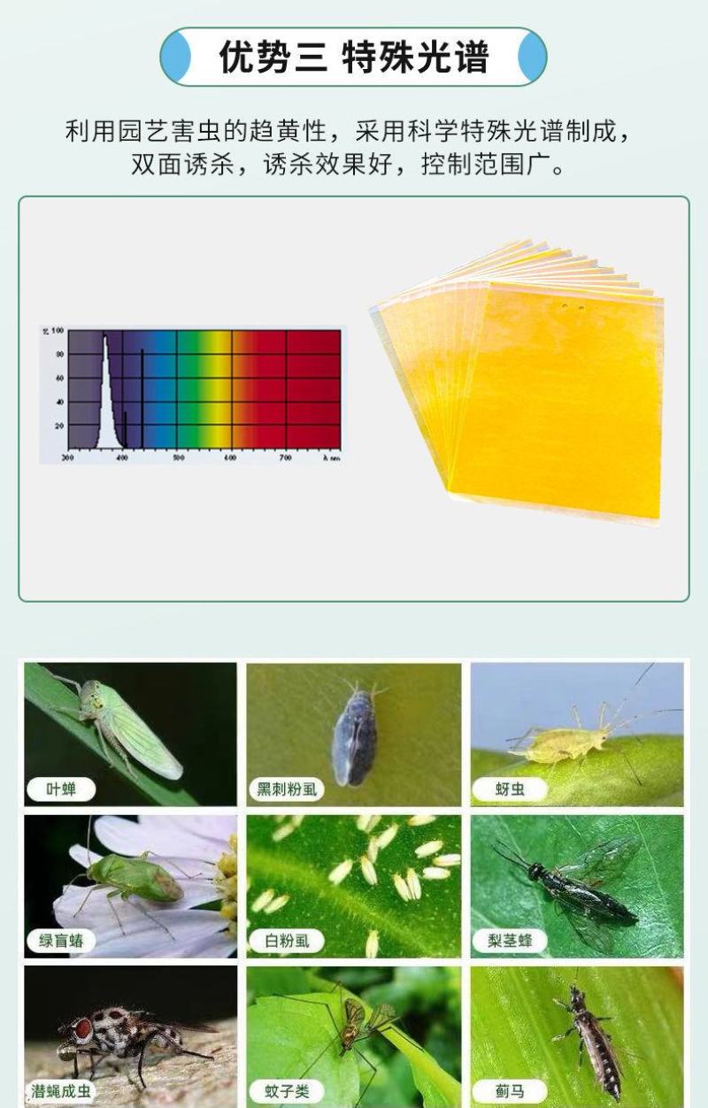 粘虫板黄板双面粘虫板大棚专用蓟马家用黄蓝一体色诱虫板果园