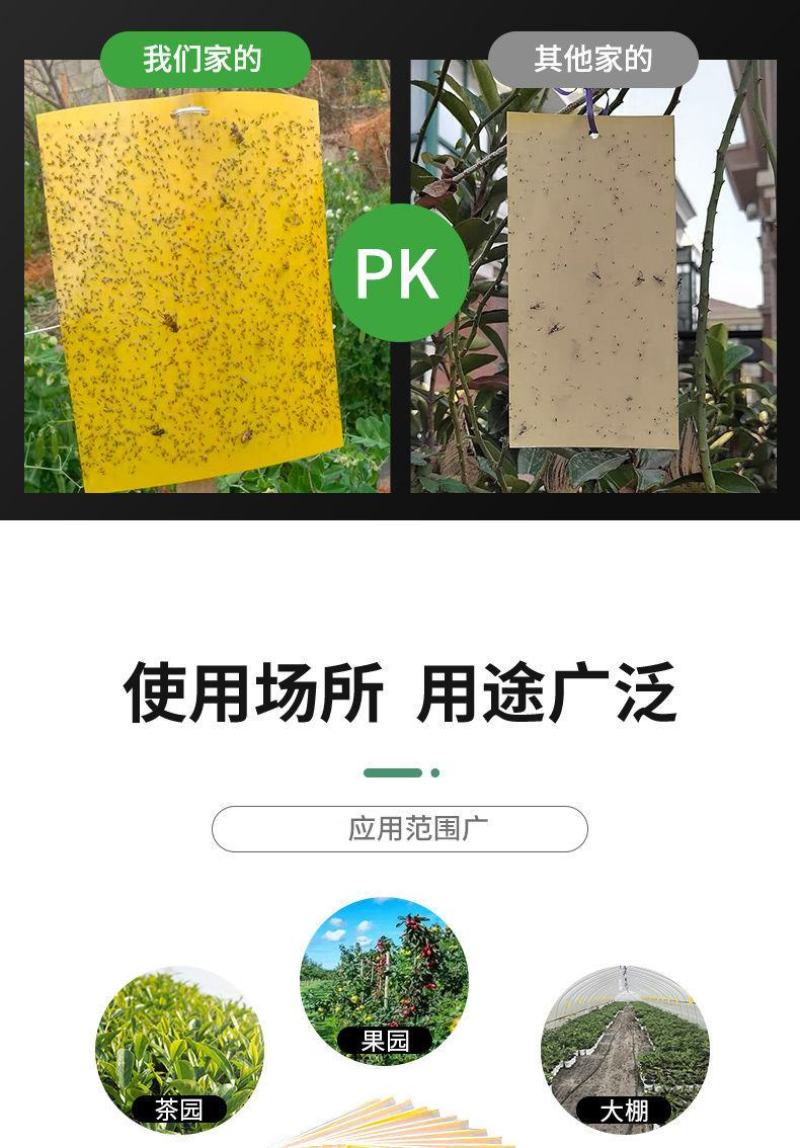 粘虫板黄板双面粘虫板大棚专用蓟马家用黄蓝一体色诱虫板果园
