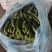 精品小黄瓜