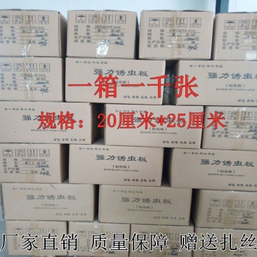 双面特粘黄色粘虫板诱虫板蓟马蓝板果园菜园大棚黄板灭杀多种