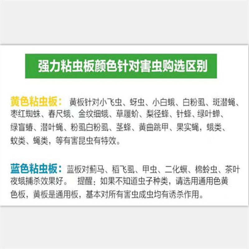 双面特粘黄色粘虫板诱虫板蓟马蓝板果园菜园大棚黄板灭杀多种