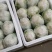 夏阳白菜！土白菜！50菜！只做质量！按斤称重，包棚买地！