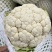 【推荐】河北花菜一手货源供应市场商超电商量大价优
